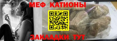 индика Сланцы
