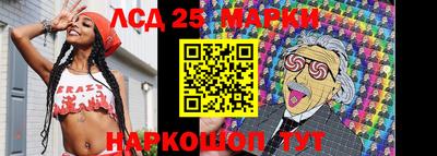 индика Сланцы