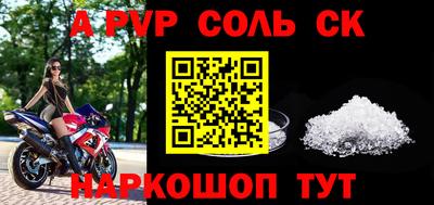индика Сланцы