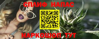 индика Сланцы