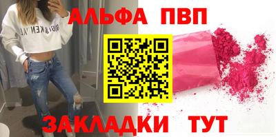 индика Сланцы