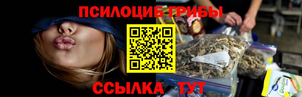 Псилоцибиновые грибы Cubensis Михайловка