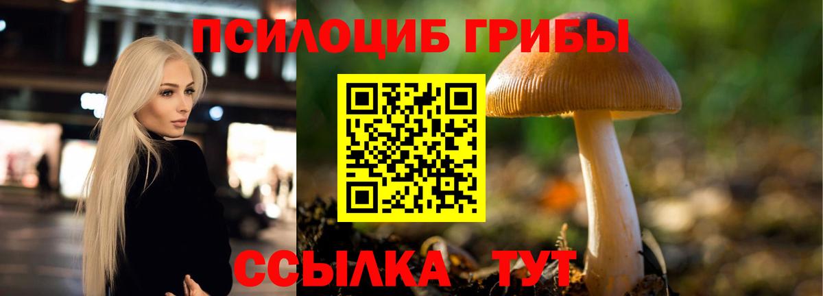 Галлюциногенные грибы Cubensis  Галлюциногенные грибы Cubensis  Михайловка  Вход с VPN 